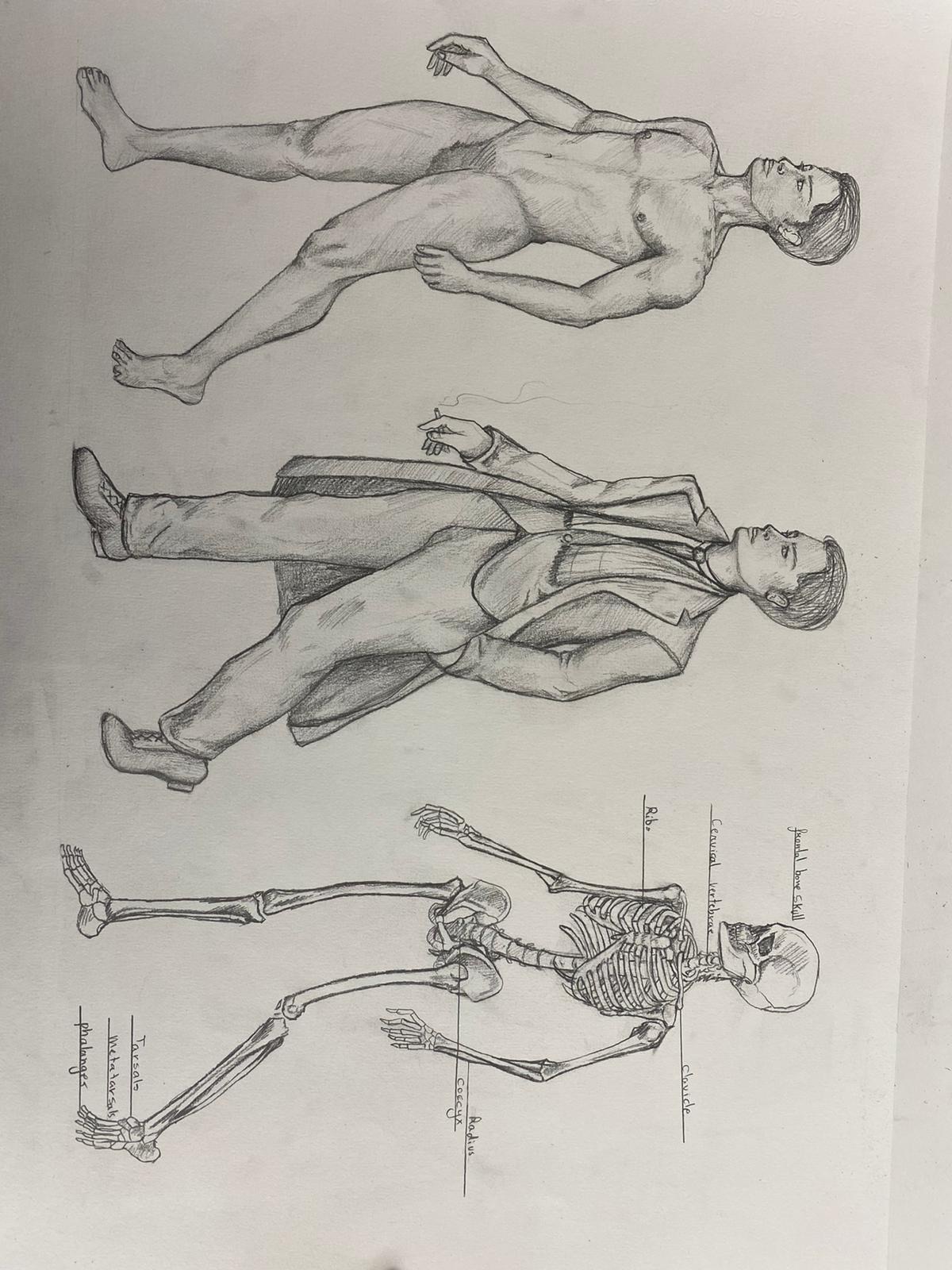 Anatomy study sheet