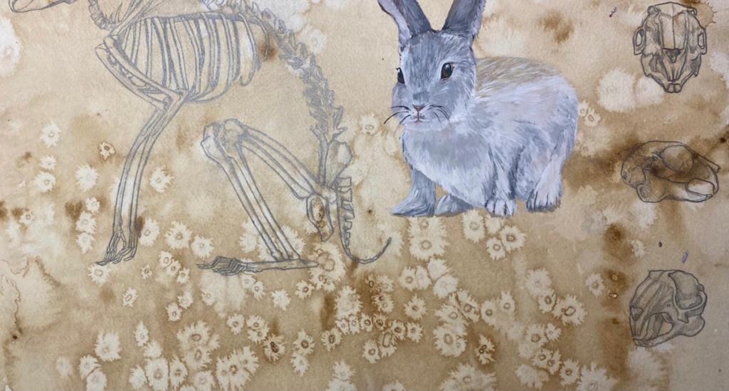Rabbit and skeleton mixed media