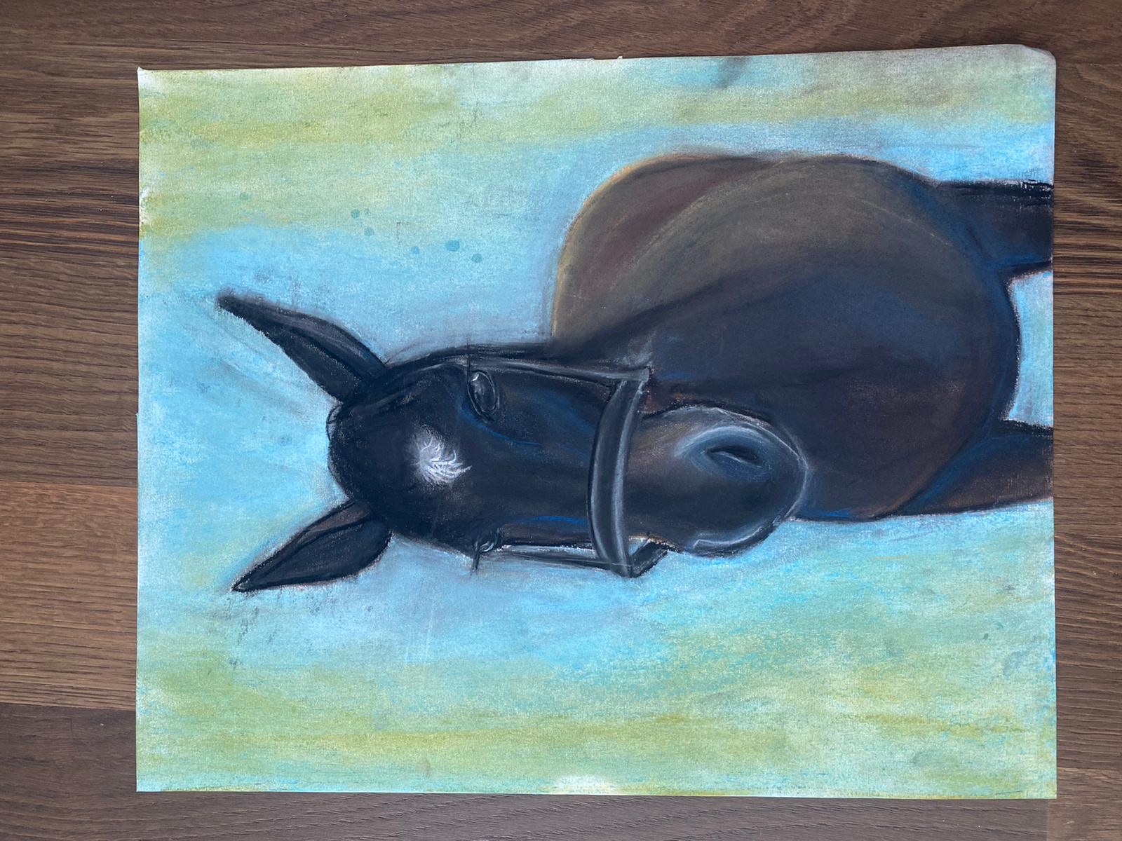 Black horse blue background