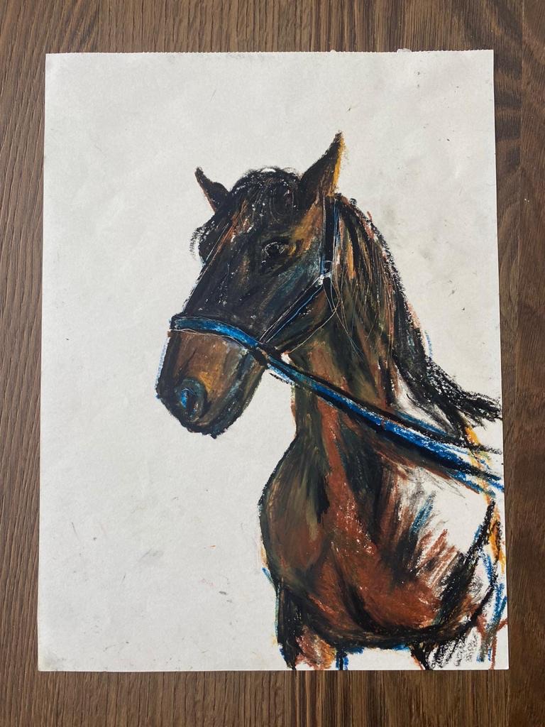 Brown horse blue bridle