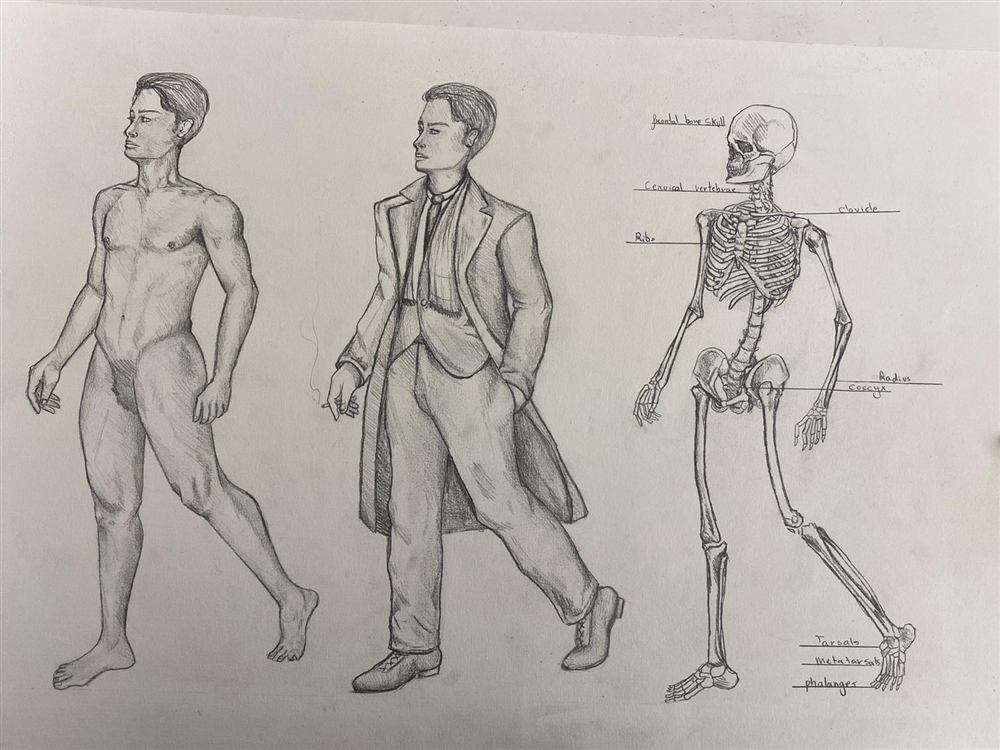 Anatomy study sheet