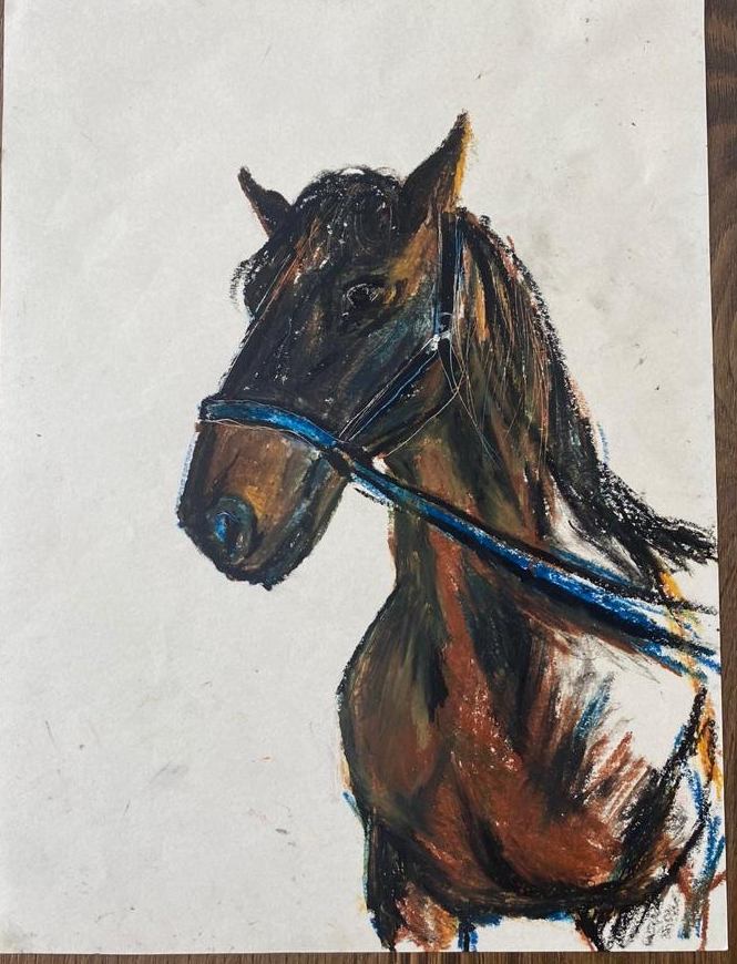 Brown horse blue bridle