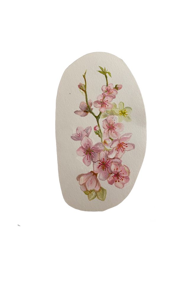 Peach blossom branch gouache on oval cut paper